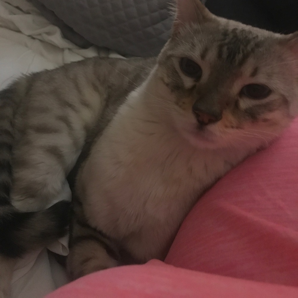 Meet your Posher, Cyndi